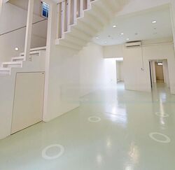 Bukit Pasoh Conservation Area (D2), Shop House #455732821